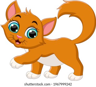 Cartoon funny cat isolated on white background