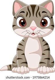 Cartoon funny cat sitting on white background