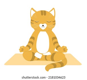 Cartoon funny cats doing yoga position isolated Vector illustration