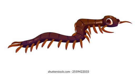 Cartoon funny centipede insect character with large expressive eyes, elongated, segmented body and numerous legs. Isolated vector pest creature, slightly creepy yet playful and funny bug animal