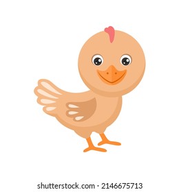 Cartoon funny chicken bird isolated on white. Vector simple flat illustration. Farm poultry.