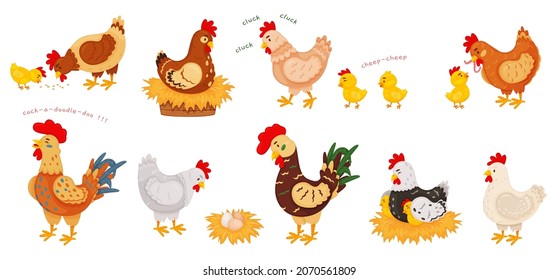 Cartoon funny chickens, hens and roosters, cute chicks. Chicken on nest with eggs, little chick and mother hen, farm bird animals vector set. Parent bird feeding baby with worm, seed