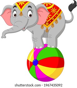 Cartoon funny circus elephant balancing on ball