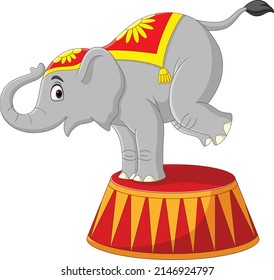 Cartoon funny circus elephant on podium