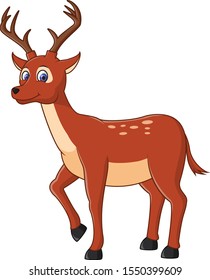 Cartoon funny deer standing isolated on white background
