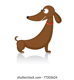 Cartoon funny dog breed dachshund.  Illustration on white background