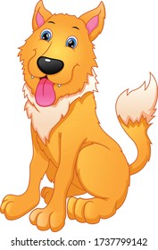 Cartoon funny dog on white background
