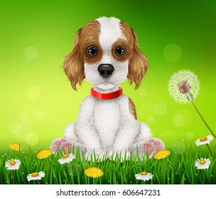 Cartoon funny dog sitting on the grass