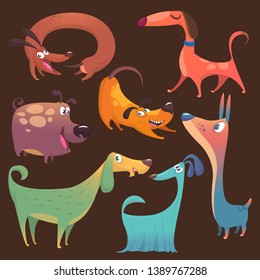 Cartoon funny dogs set. Vector illustrations