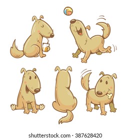 Cartoon funny dogs set. Vector image. Cute  puppy in different poses.