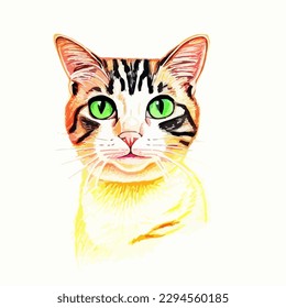 
Cartoon funny domestic cat portrait drawing, vector EPS 10 illustration
