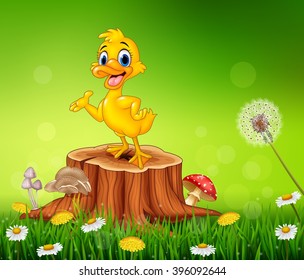 Cartoon funny duck presenting on tree stump in summer season background