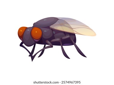 Cartoon funny fly insect character with large orange eyes, dark body and transparent wings. Isolated vector housefly pest personage, domestic parasite, winged flying bug, natural creature