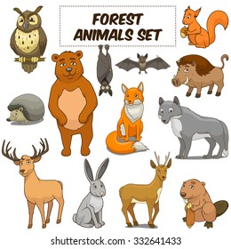 Cartoon funny forest animals colorful set vector illustration