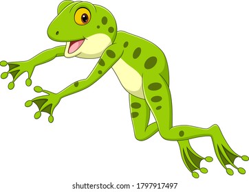 Cartoon Funny Frog Leaping On White Background