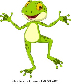 Cartoon funny frog posing on white background