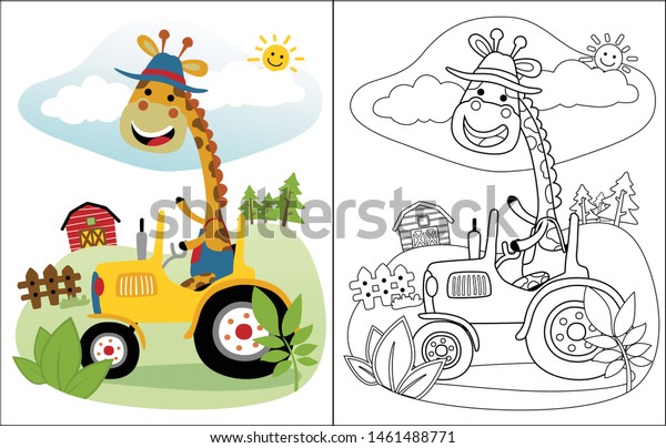 Cartoon of funny giraffe on tractor, coloring book\
or page