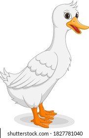 Cartoon funny goose isolated on white background