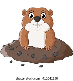 Cartoon funny groundhog