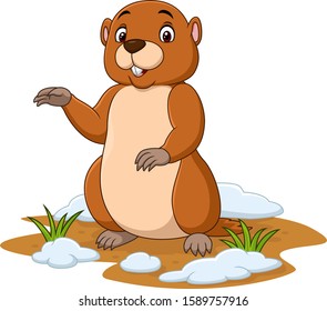 Cartoon funny groundhog waving hand