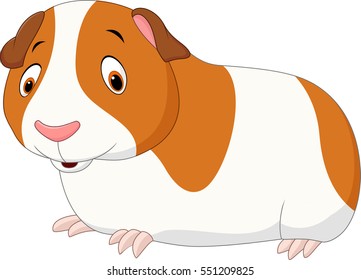 Cartoon funny guinea pig isolated on white background