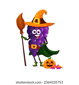 Cartoon funny halloween grapes fruit character in holiday witch costume. Isolated vector hilariously cute grape dressed as a mischievous harridan, complete with a pointy hat, sweets and broomstick