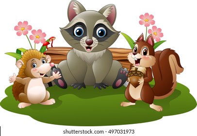 Cartoon funny hedgehog, raccoon and squirrel