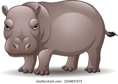 Cartoon funny hippo isolated on white background
