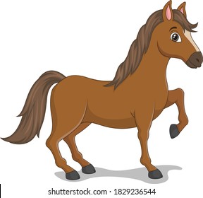 Cartoon funny horse isolated on white background