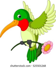 Cartoon funny hummingbird