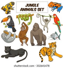 Cartoon funny jungle animals colorful set vector illustration