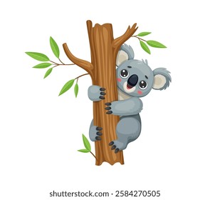 Cartoon funny koala bear character clinging to eucalyptus tree with green leaves sprouting from the branches. Isolated vector Australian animal with big eyes and fluffy gray fur in its natural habitat