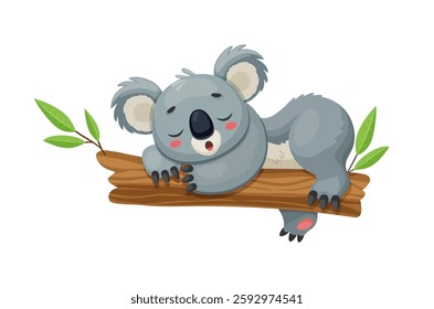 Cartoon funny koala bear character peacefully sleeping on the eucalyptus tree branch. Isolated vector cute tropical animal with fluffy gray fur, embodying adorable charm and relaxed Australian vibes