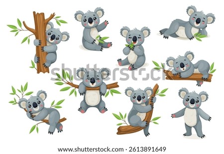 Cartoon funny koala bear characters climbing trees, eating eucalyptus leaves, and sleeping on branches. Vector set captures the charm of cute Australian koala animals with playful kawaii expressions