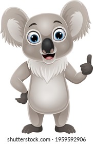 Cartoon funny koala giving thumb up