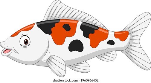 Cartoon funny koi fish on white background