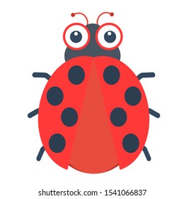 Cartoon funny ladybug isolated. flat design vector illustration.