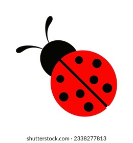 Cartoon funny ladybug isolated on white background