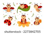 Cartoon funny ladybug. Red black dots beetle with wings. Cute insects characters on flower and leaf, ladybugs flying and sleeping, classy childish vector stickers