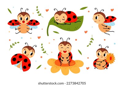 Cartoon lustige Ladybug. Rote schwarze Punkte Käfer mit Flügeln. Rutsche Insektenfiguren auf Blumen und Blättern, ladybugs fliegen und schlafen, klassische kindische Vektoraufkleber