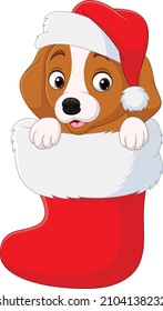 Cartoon funny little dog in the christmas sock