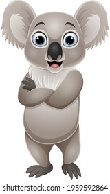 Cartoon funny little koala posing