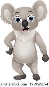 Cartoon funny little koala posing