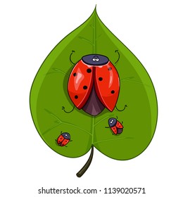 Cartoon funny looking ladybug