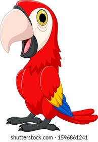 Cartoon Funny Macaw Isolated On White Stock Vector (Royalty Free ...