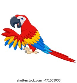 Cartoon funny macaw isolated on white background 