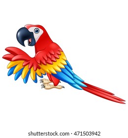 Cartoon funny macaw isolated on white background 