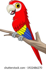 Caricatura graciosa de macaw en rama de árbol