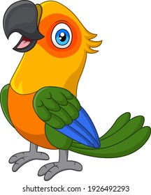 Cartoon funny macaw on white background