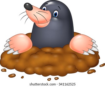 Cartoon funny mole